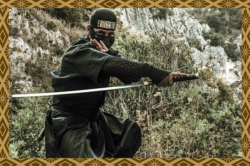 I Ninja e l’Era moderna